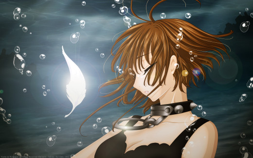 528595 (a): :2560x1600